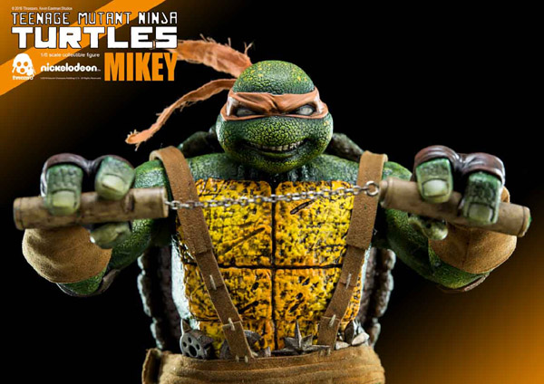 2085_en_us_20160602TMNT-LNMSets-600-A-2-on.jpg
