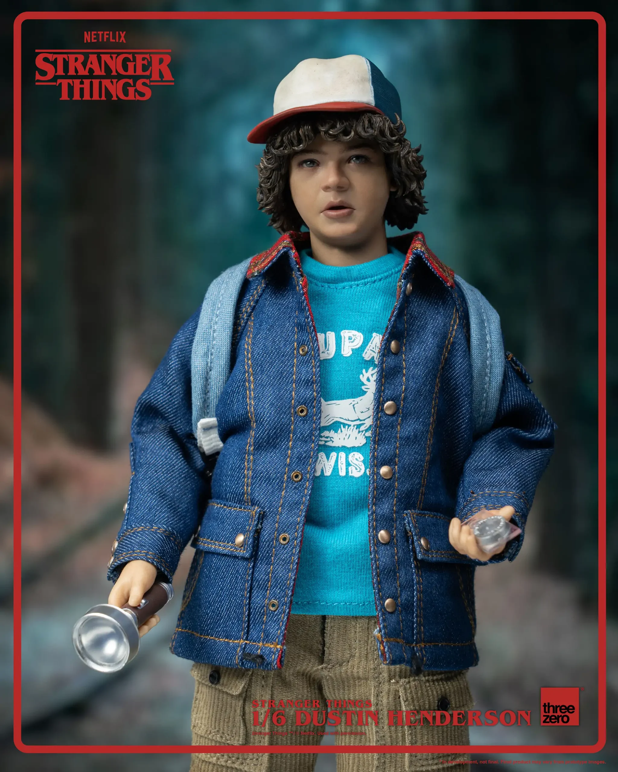 Stranger Things, 1/6 Dustin Henderson